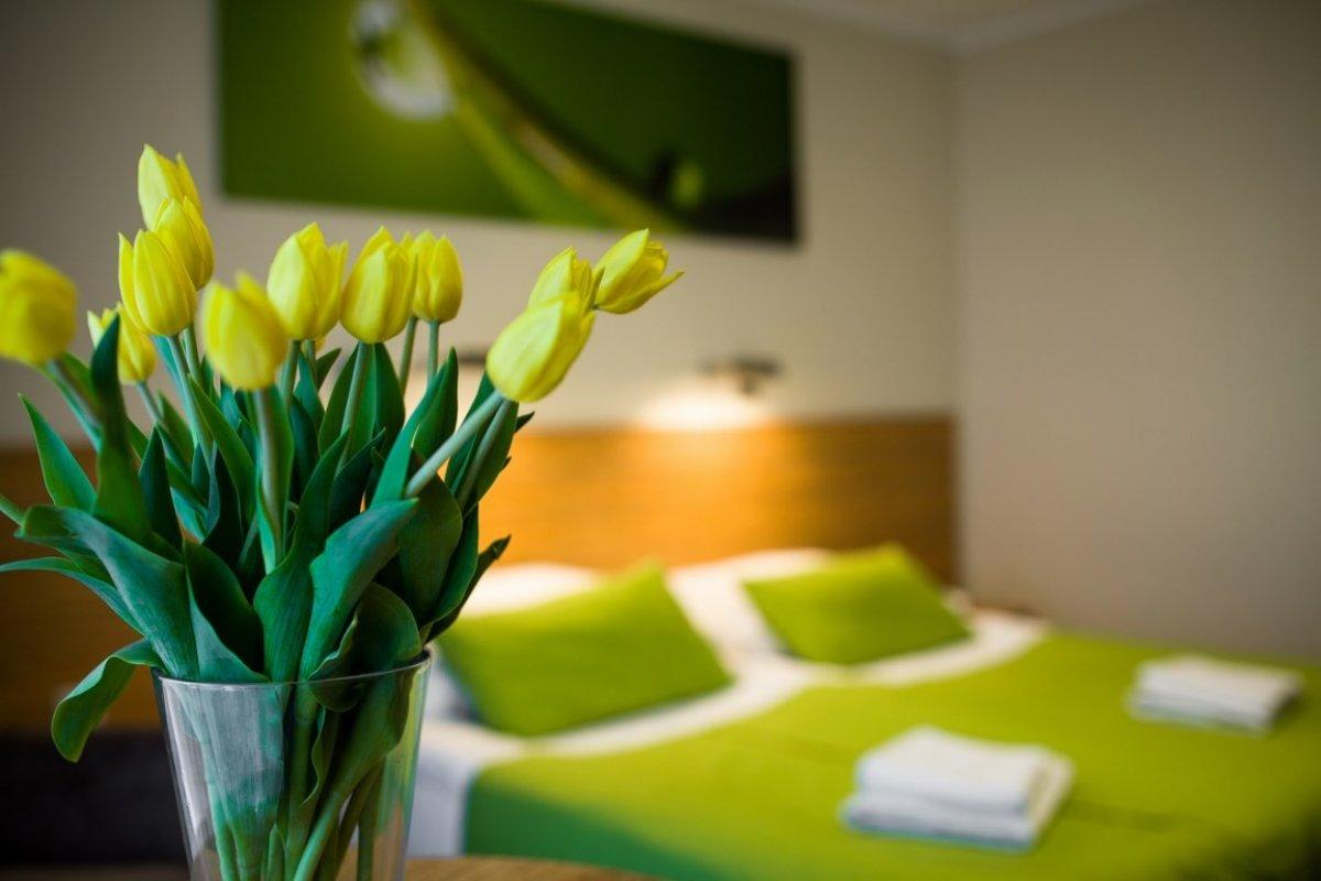 Hotel *** NAT Sarbinowo - Jawor - Polska