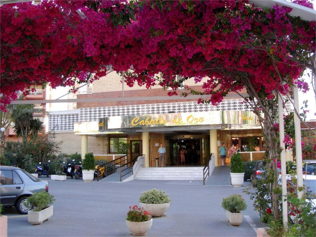 Hotel Caballo De Oro - Hiszpania