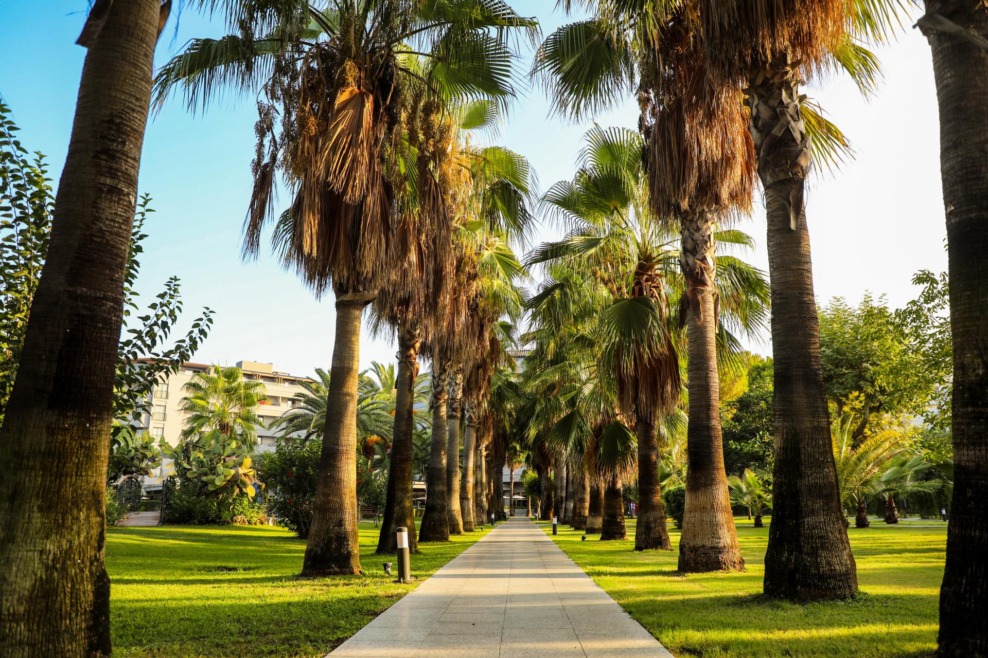 Hotel Miramare Beach - Turcja