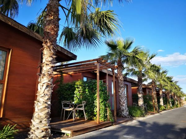 Hotel Magic Natura Animal & Polynesian Resort - Hiszpania