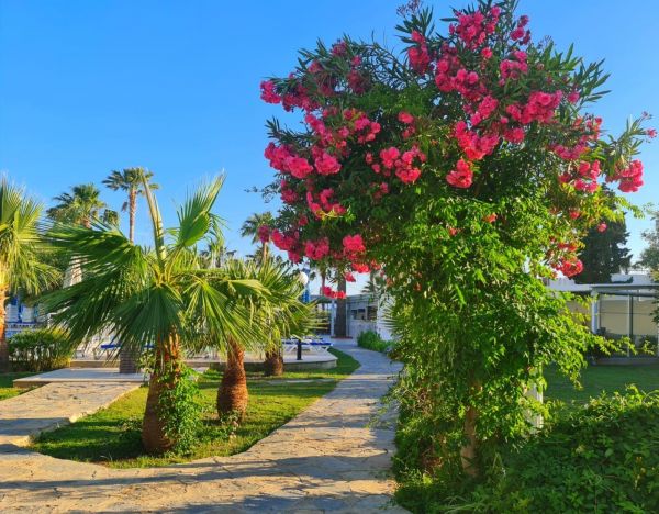 Hotel Nagi Beach Gumbet - Turcja