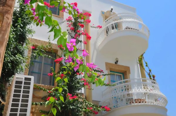 Hotel Siesta Beach Apart Gumbet - Turcja