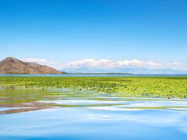 Wycieczka fakultatywna: Czarnogóra - Pociągiem przez Czarnogórę - Czarnogóra