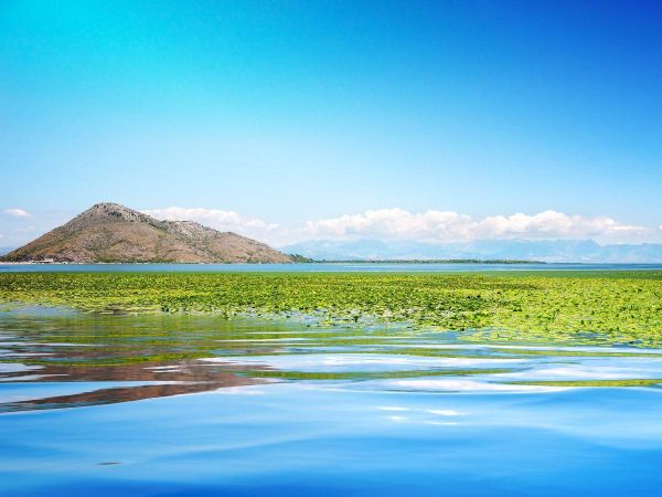 Wycieczka fakultatywna: Czarnogóra - Jezioro Szkoderskie - Czarnogóra