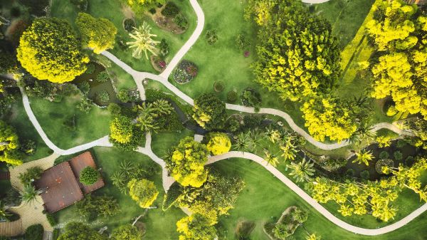 Hotel Don Carlos Leisure Resort & SPA - Hiszpania