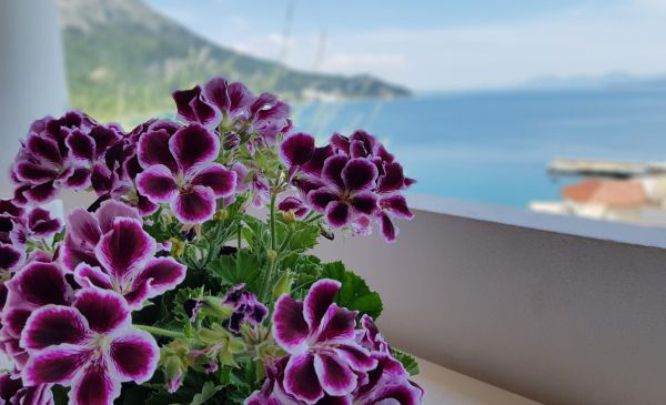 Chorwacja z Przytupem (6) - Chorwacja