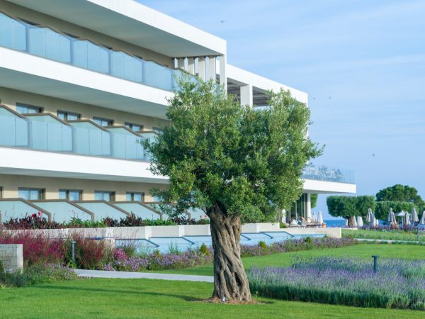 Ammoa Luxury Hotel & Spa Resort - Grecja