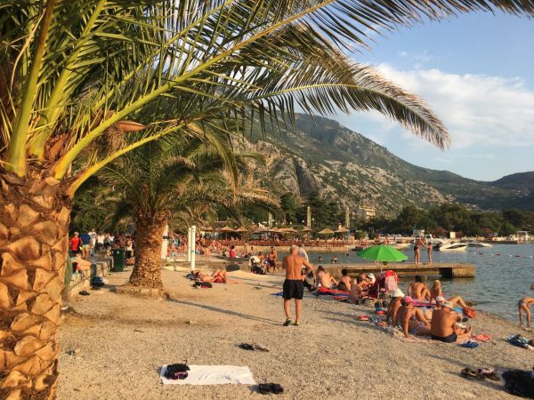 Hotel Hotel Dimic Ellite